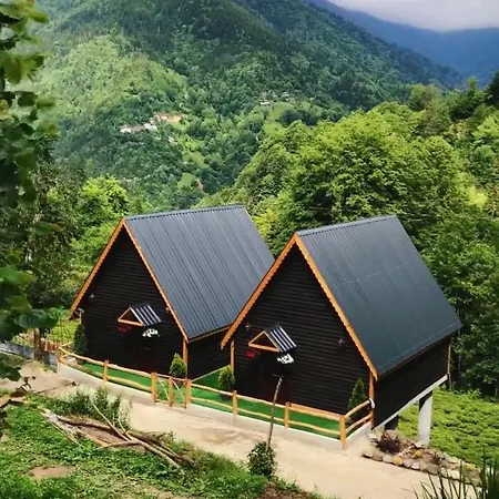 Riona Villa *