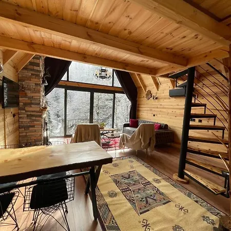 Villa Riona Çamlıhemşin