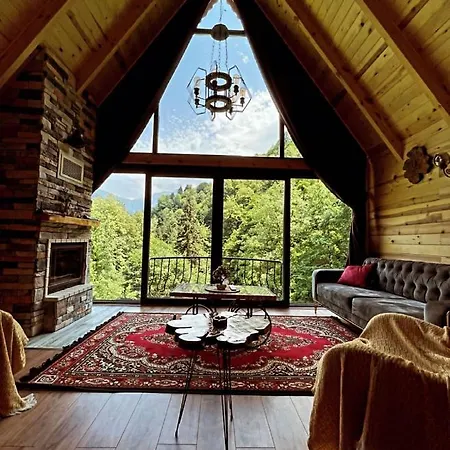 Riona Villa Çamlıhemşin