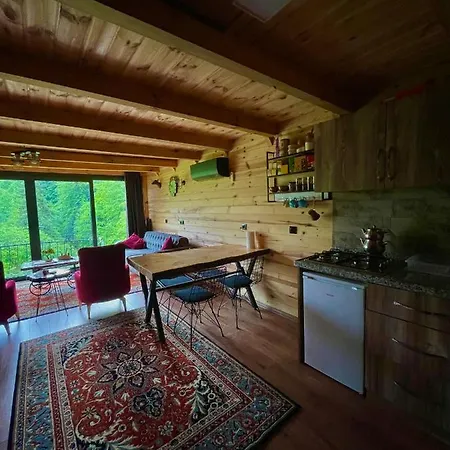 Villa Riona Çamlıhemşin